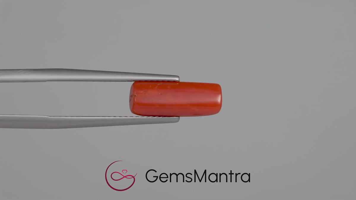 Red Coral - 3.58 Carats