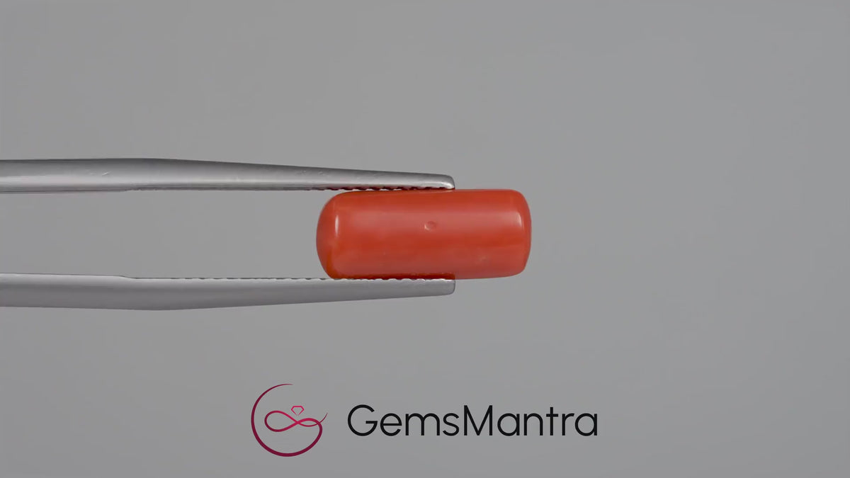 Red Coral - 3.55 Carats