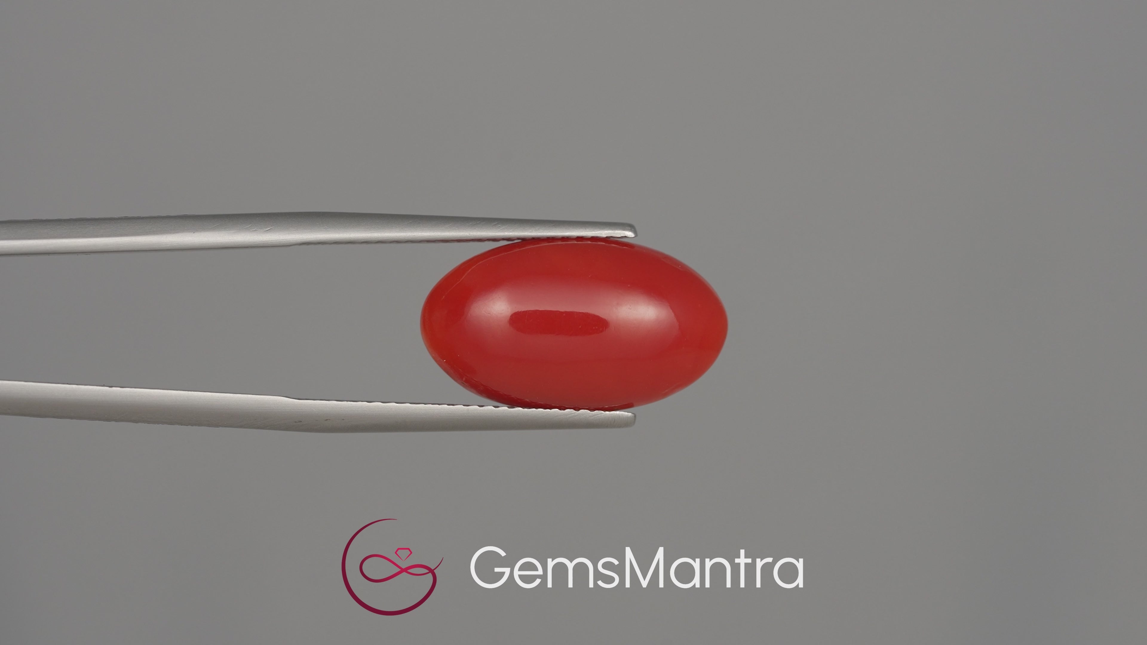 Red Coral (Moonga) - 6.61 Carats