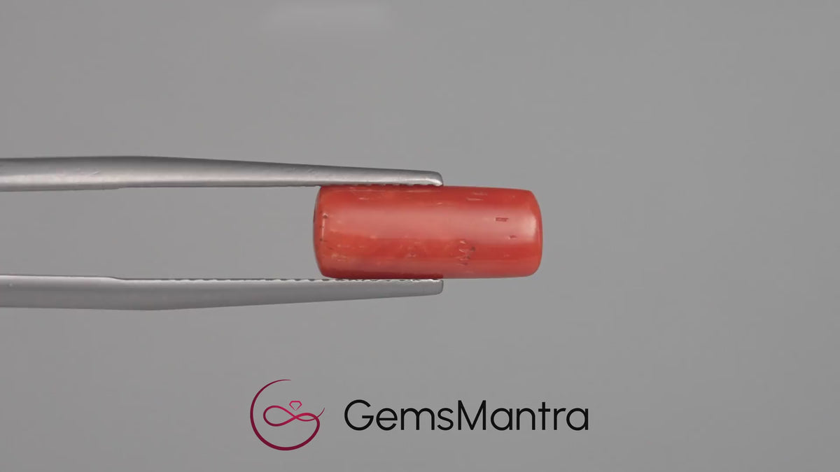 Red Coral - 3.88 Carats