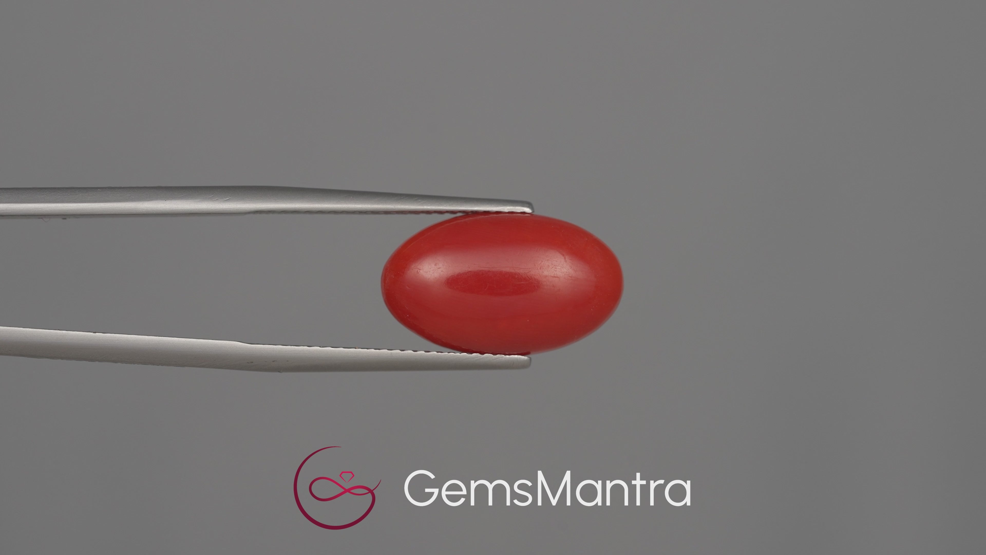 Red Coral (Moonga) - 6.54 Carats