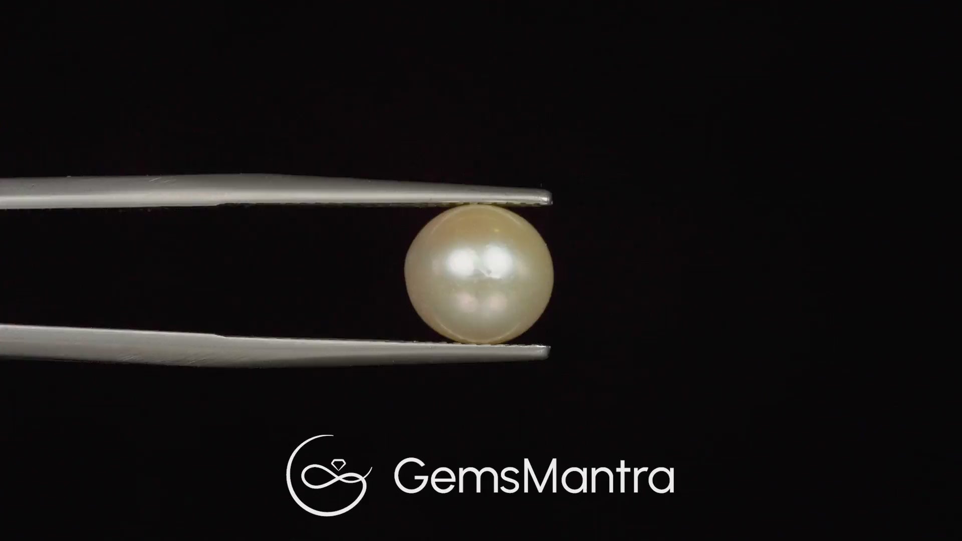 South Sea Pearl (Moti) – 4.46 Carat / 4.9 Ratti [GM02986]