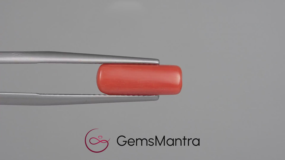 Red Coral - 3.88 Carats