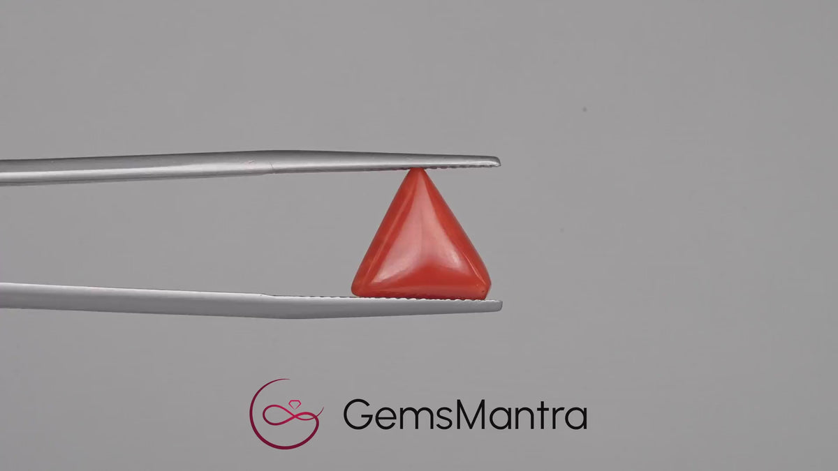 Red Coral - 4.15 Carats