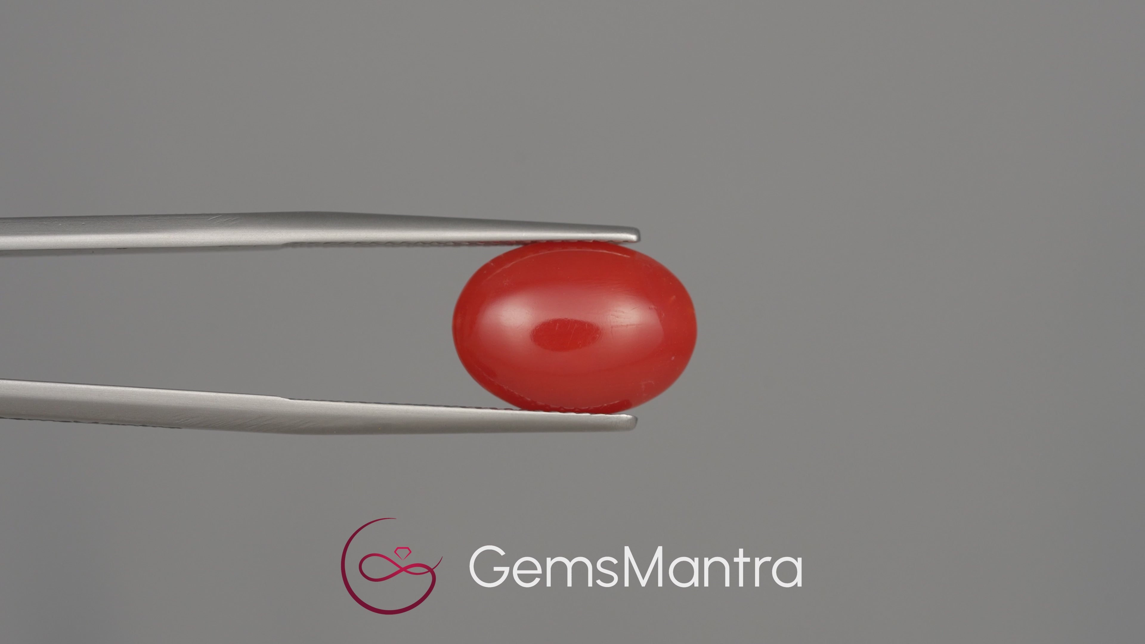 Red Coral (Moonga) - 4.74 Carats