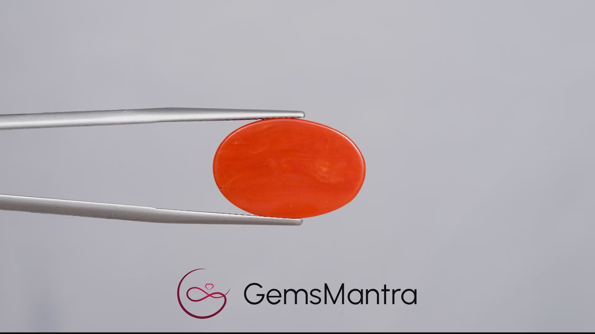 Red Coral (Moonga) – 11.67 Carat / 12.8 Ratti [GM10097]