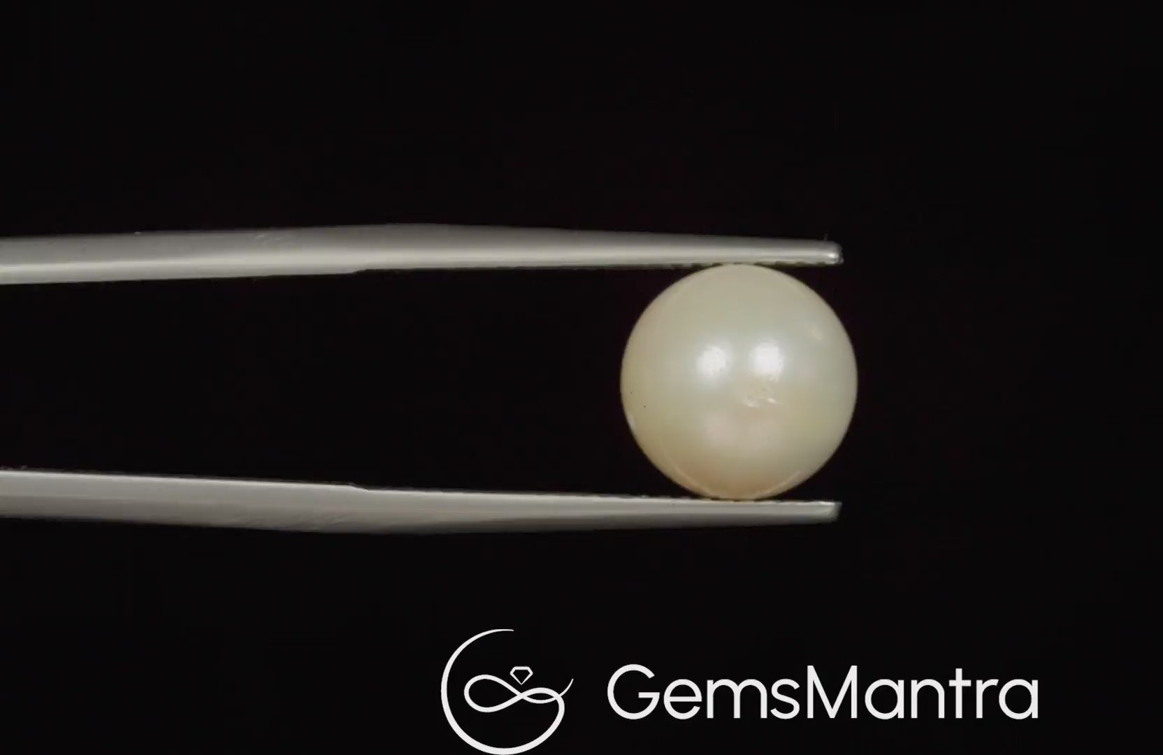 South Sea Pearl (Moti) – 6.58 Carat / 7.2 Ratti [GM02987]