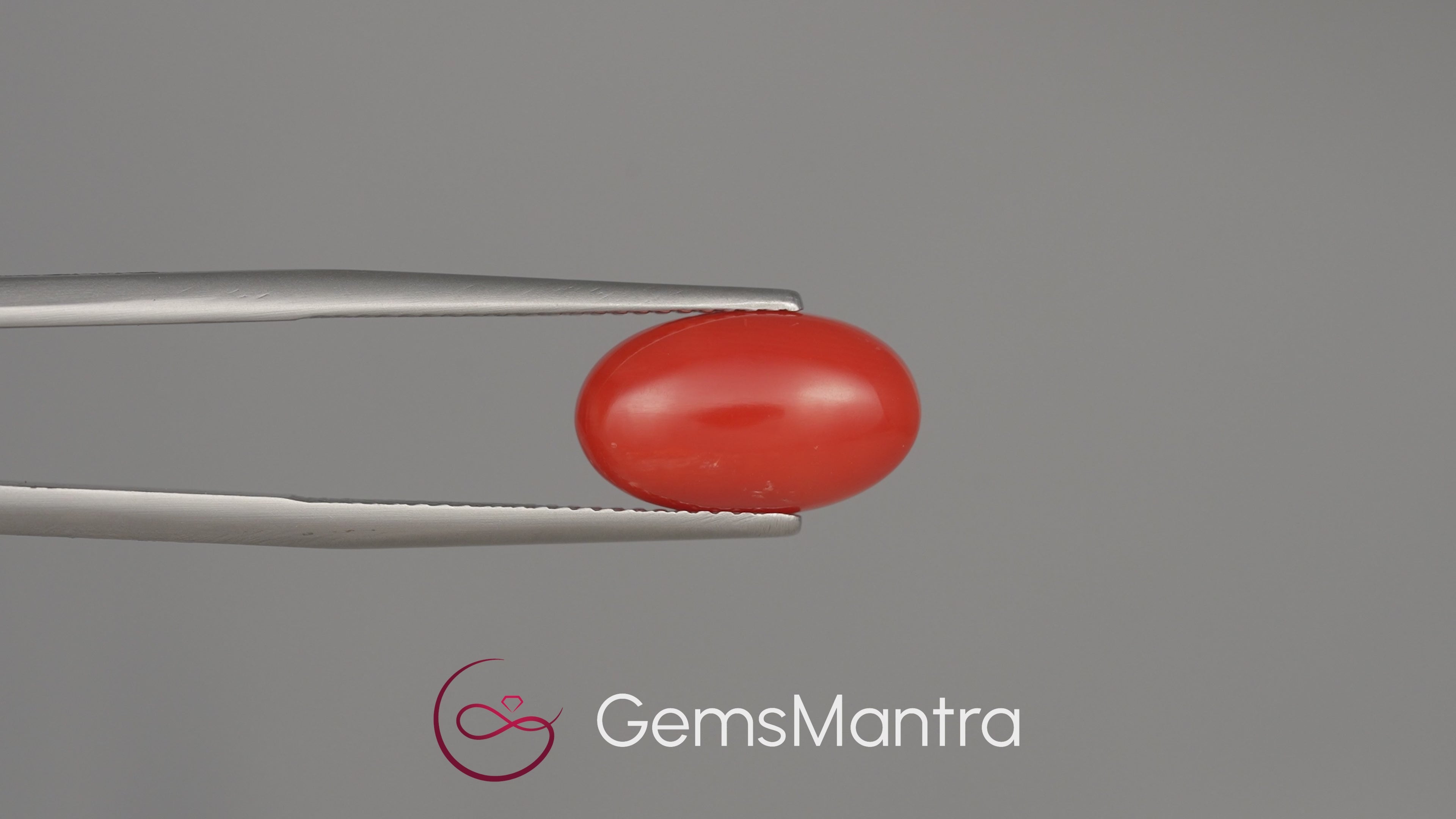 Red Coral (Moonga) - 4.71 Carats