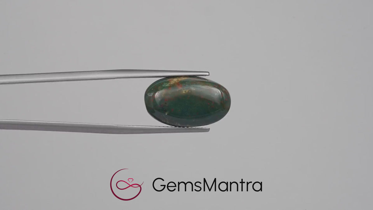 Bloodstone (9.2 Carats)