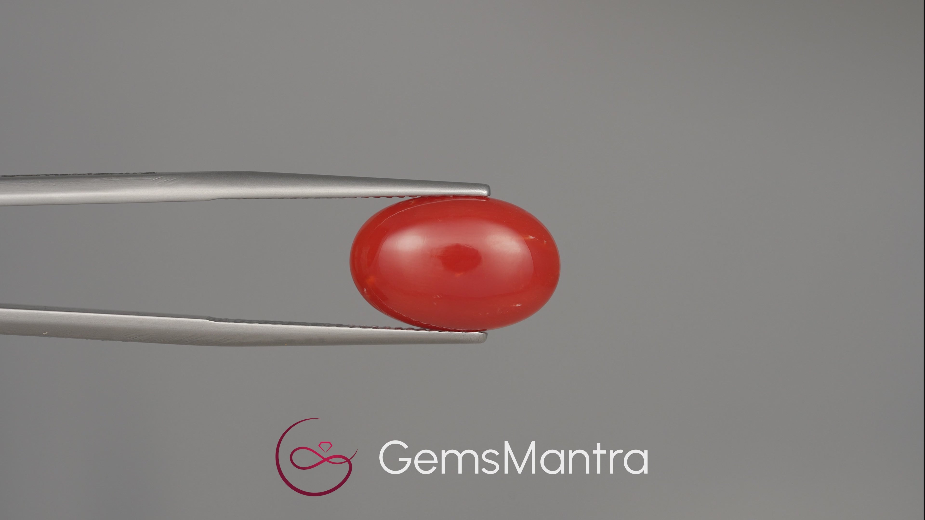Red Coral (Moonga) - 4.59 Carats
