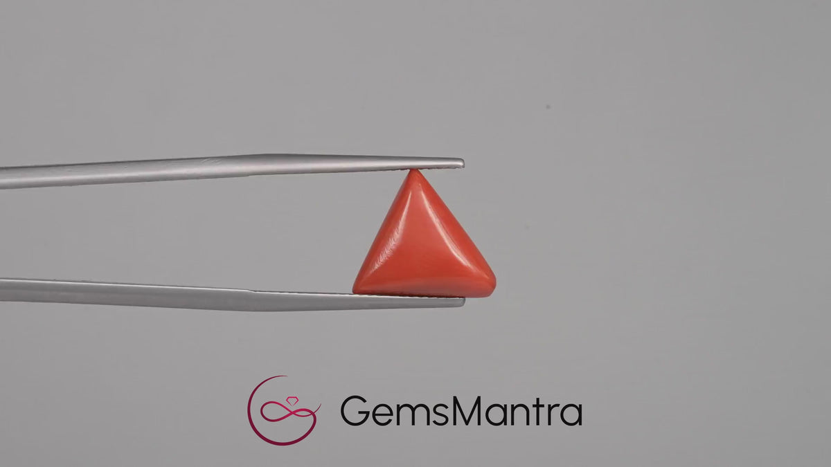 Red Coral - 4.8 Carats