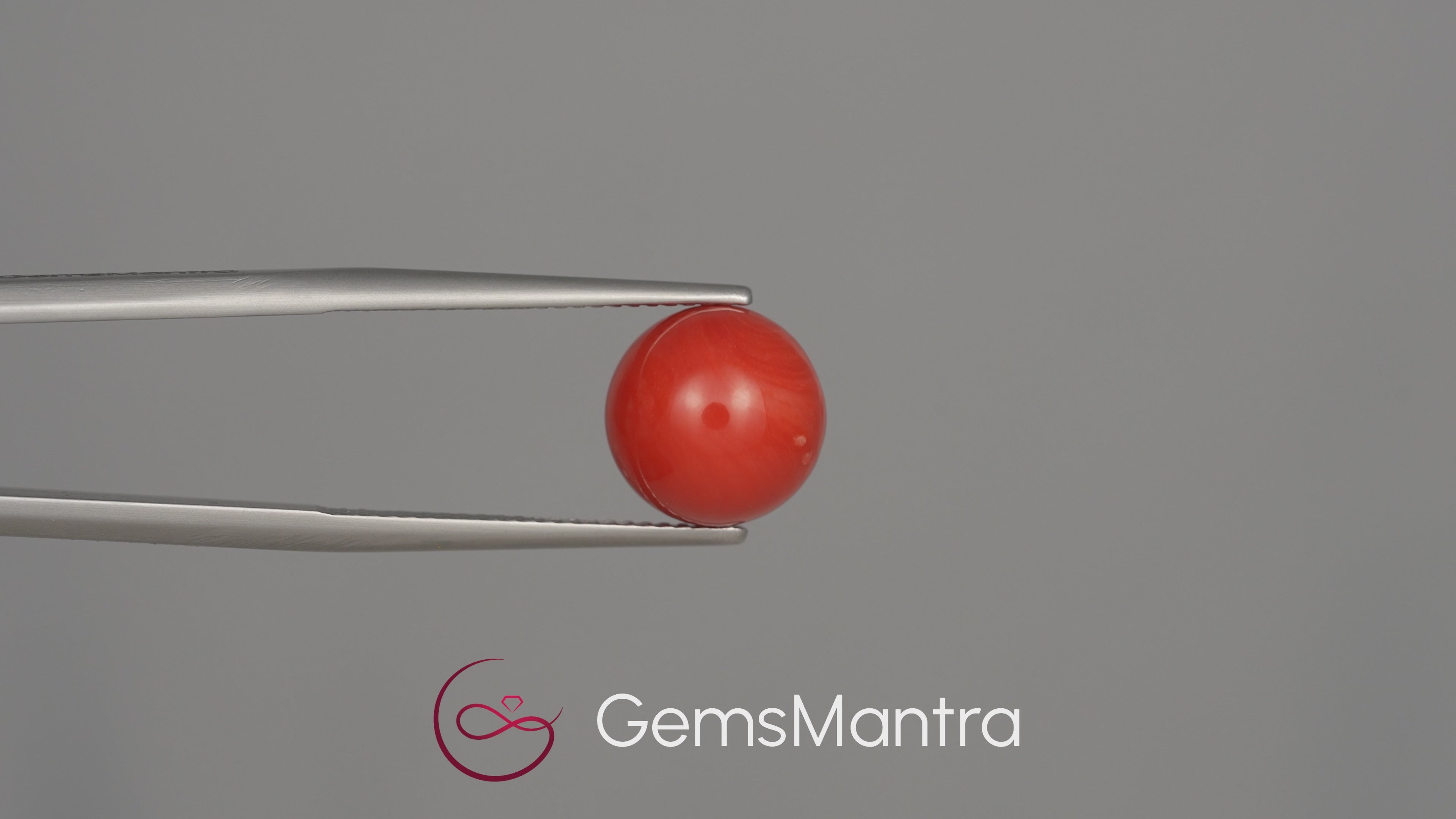 Red Coral (Moonga) - 7.67 Carats