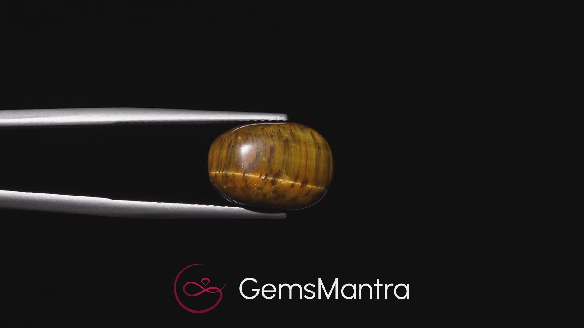 Tiger's Eye – 7.47 Carat / 8.2 Ratti [GM09834]