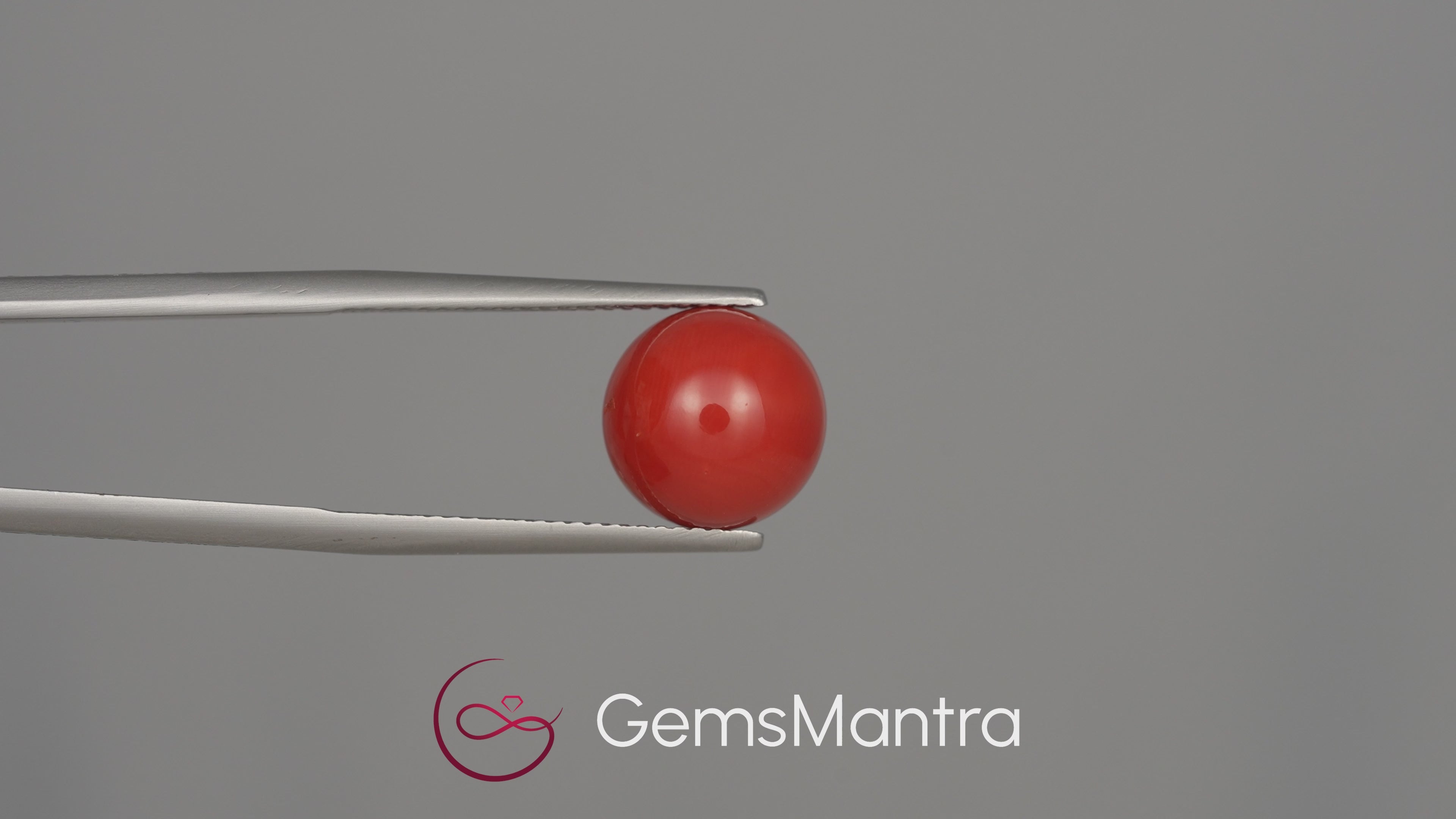 Red Coral (Moonga) - 7.63 Carats
