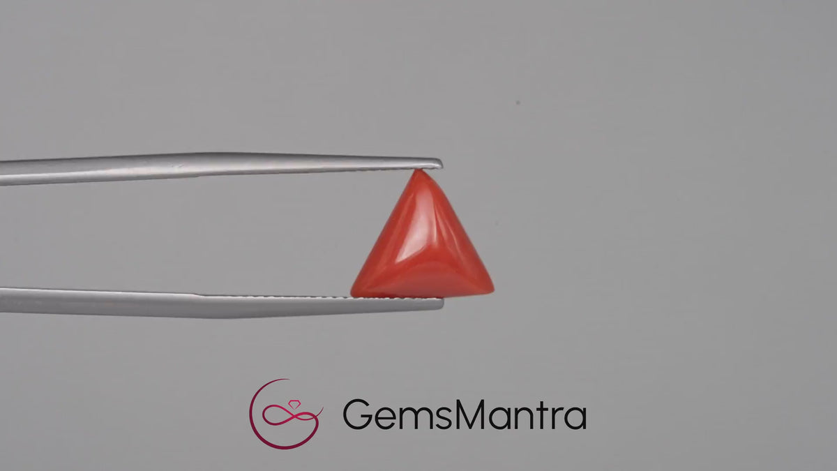 Red Coral - 3.58 Carats