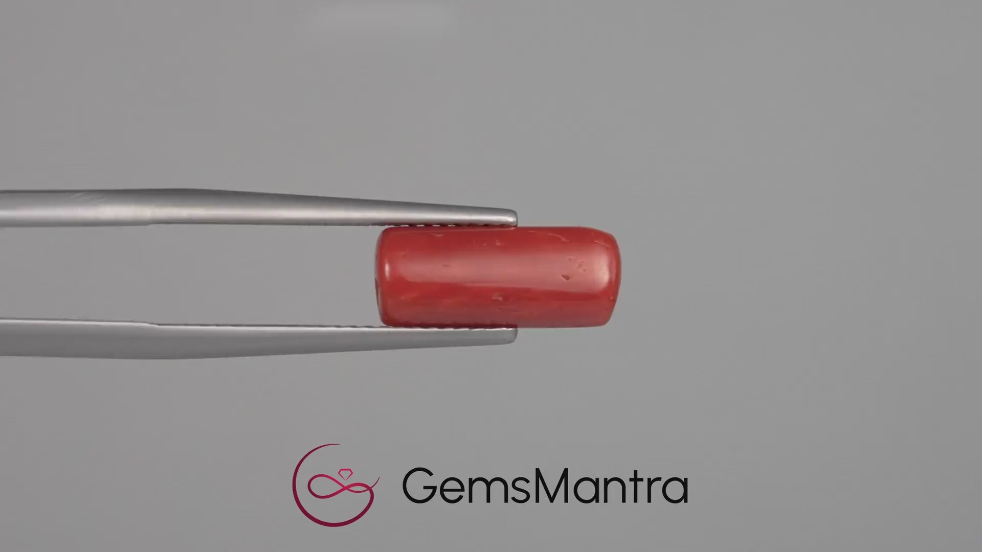 Red Coral - 3.67 Carats