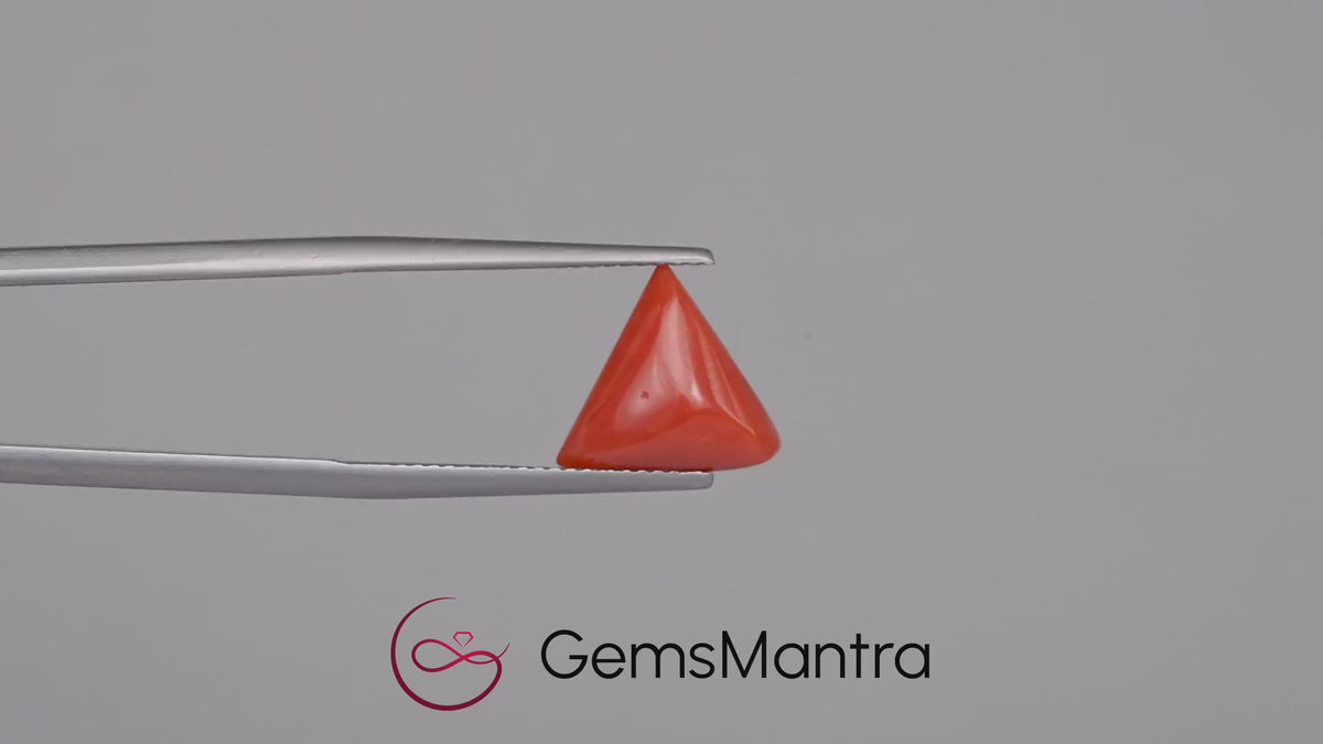 Red Coral - 4.04 Carats