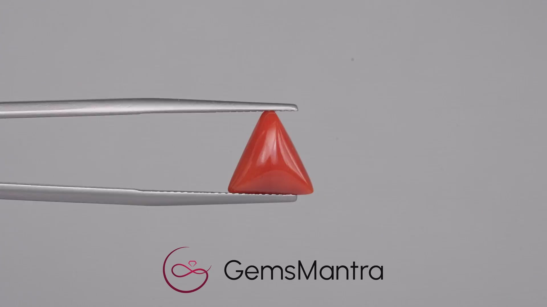 Red Coral - 3.66 Carats