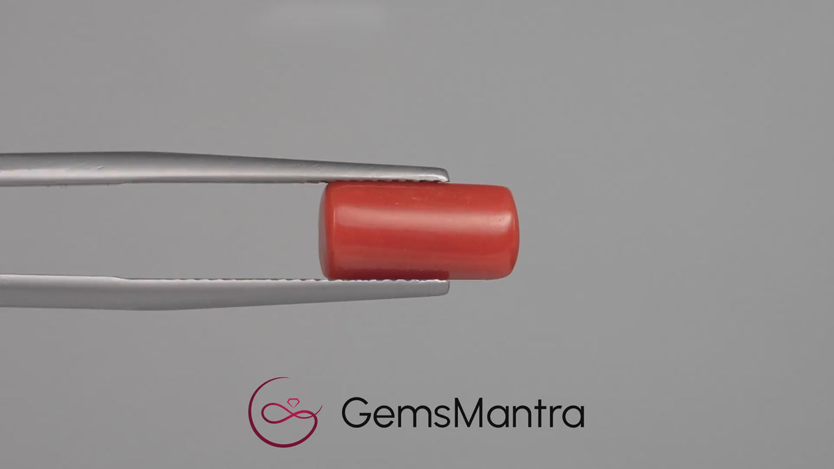 Red Coral - 3.67 Carats