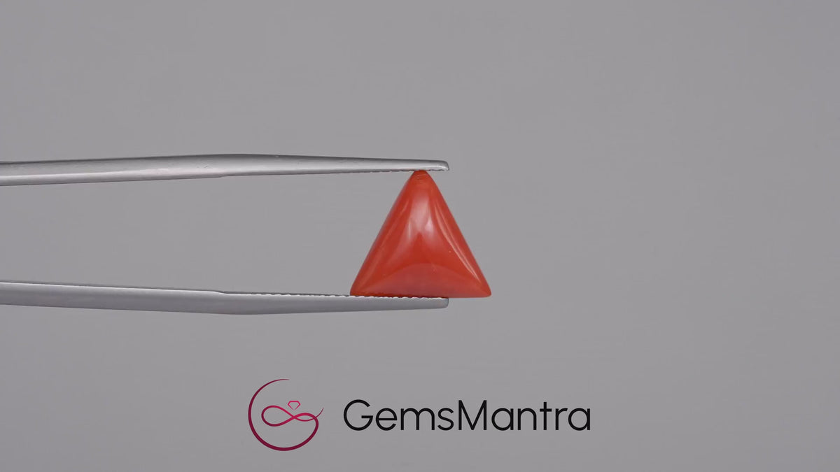 Red Coral - 3.92 Carats