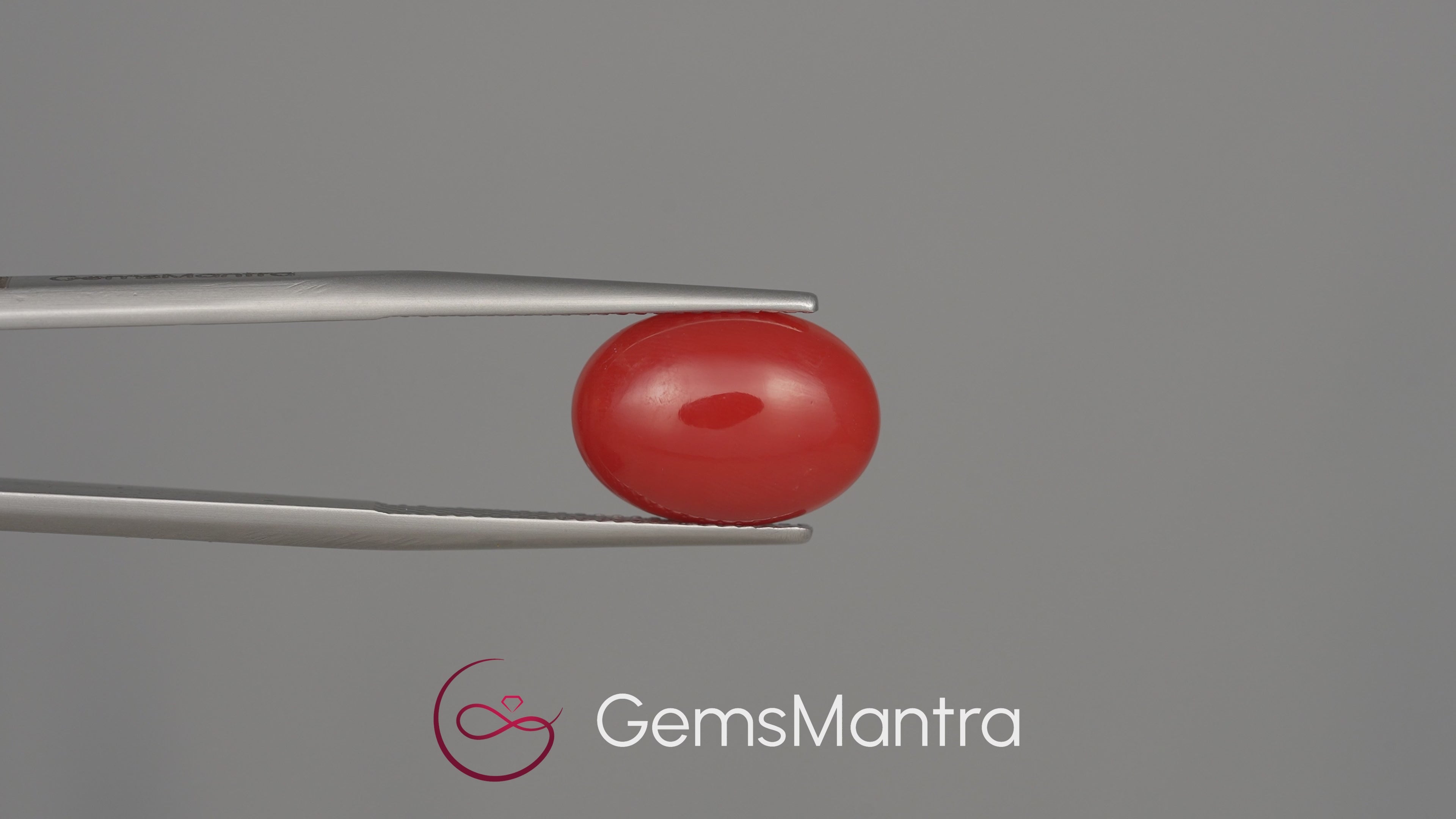 Red Coral (Moonga) - 5.2 Carats