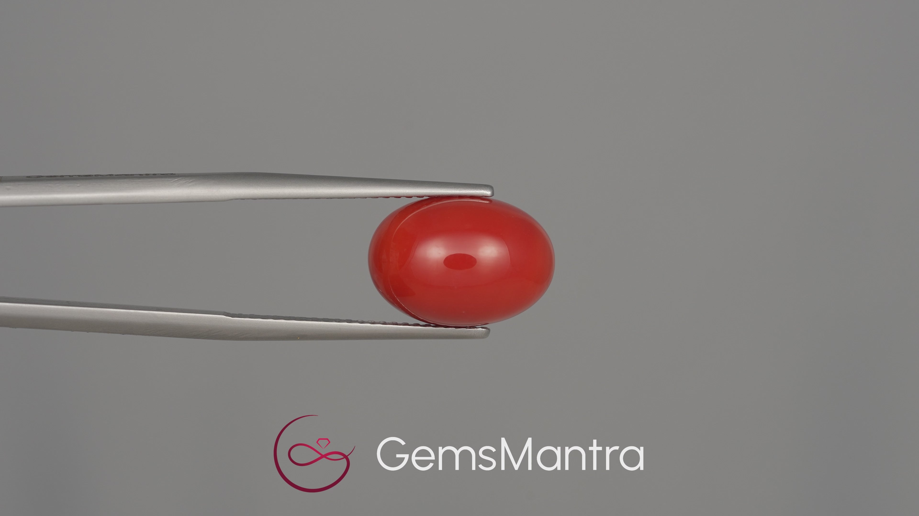 Red Coral (Moonga) - 7.41 Carats