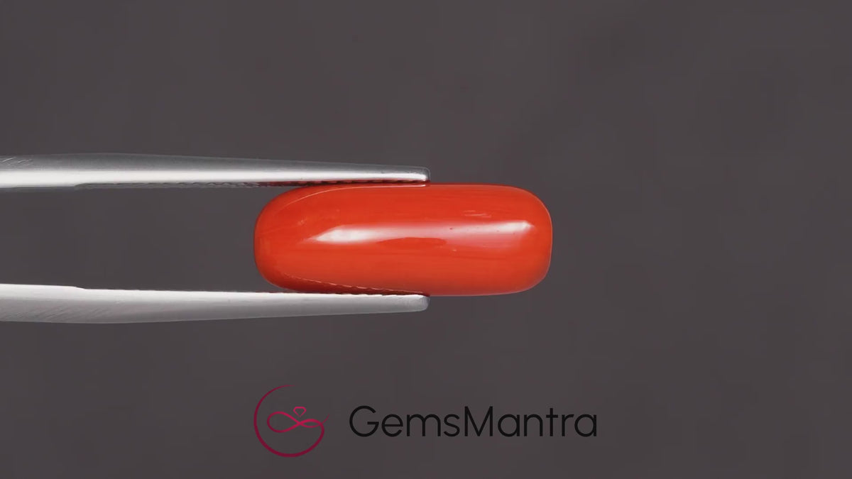 Red Coral (Moonga) – 6.15 Carat / 6.8 Ratti [GM09623]