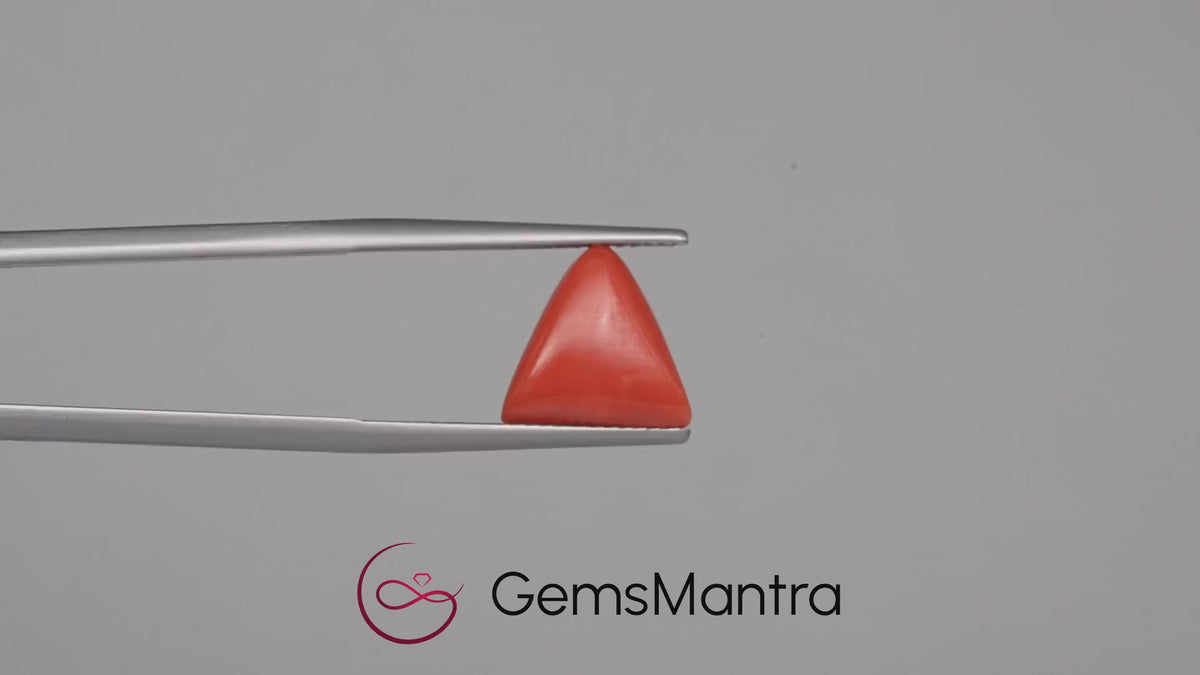 Red Coral - 4.06 Carats