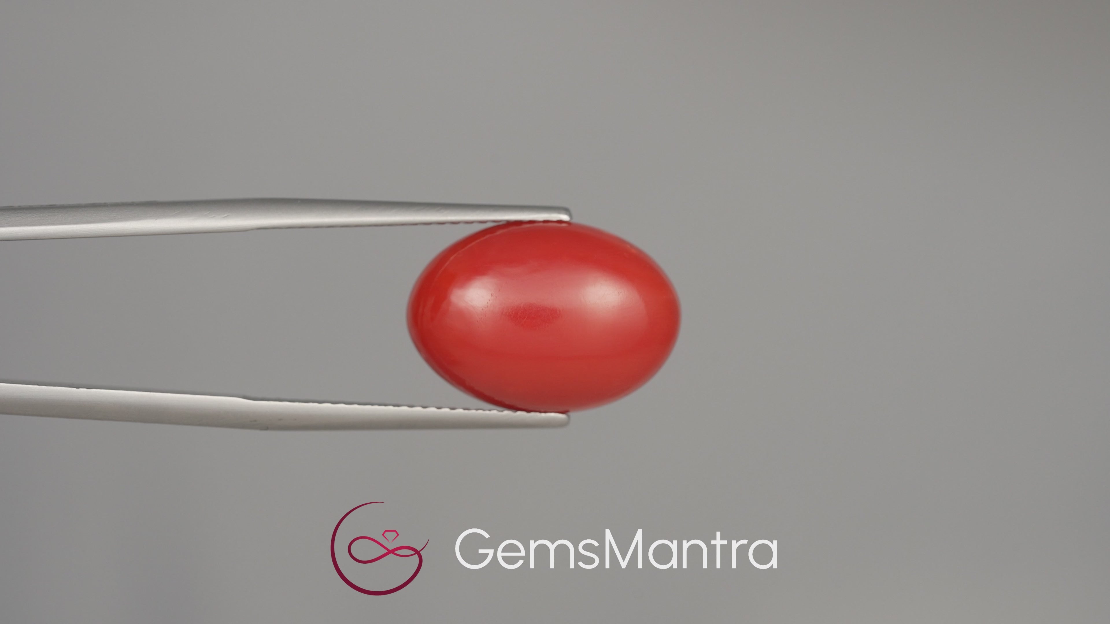 Red Coral (Moonga) - 9.96 Carats