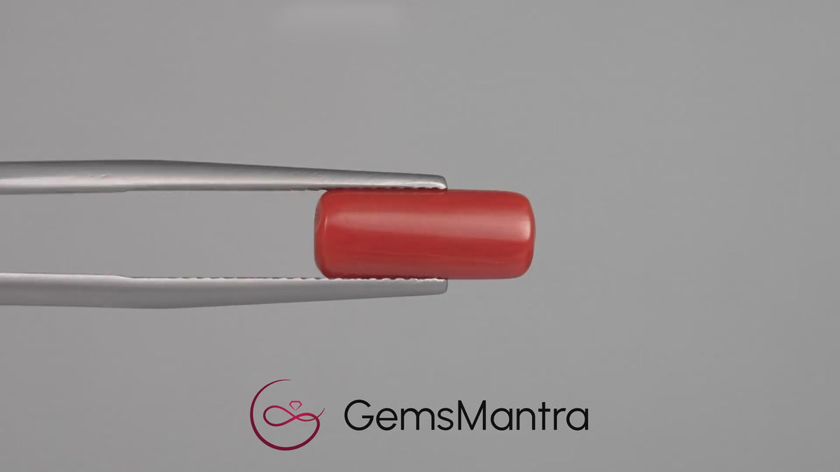 Red Coral - 3.67 Carats