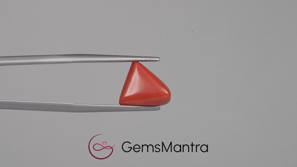 Red Coral - 4.76 Carats
