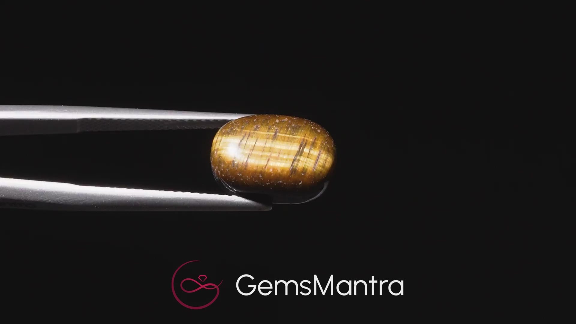 Tiger's Eye – 6.23 Carat / 6.9 Ratti [GM09838]