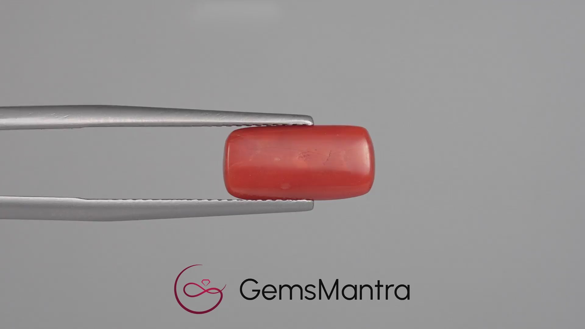 Red Coral - 3.51 Carats