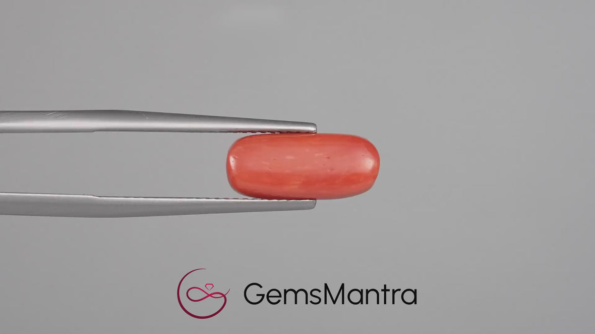 Red Coral - 4.62 Carats
