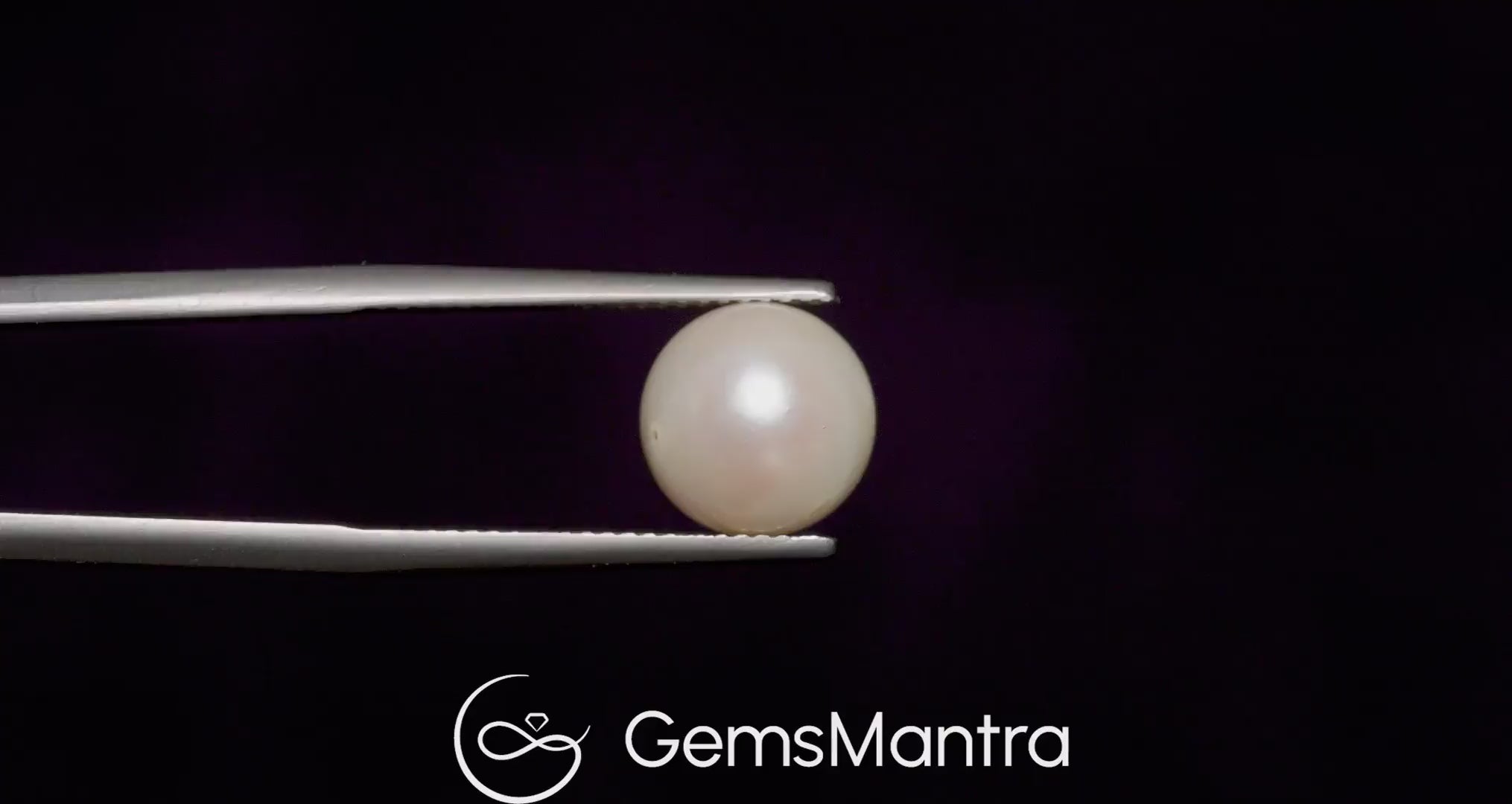 South Sea Pearl (Moti) – 6.54 Carat / 7.2 Ratti [GM03032]