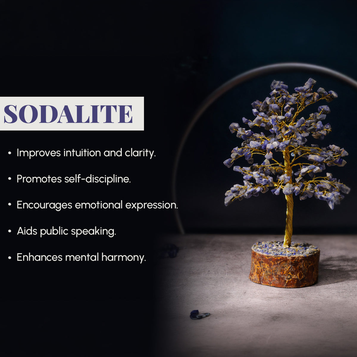 Sodalite Crystal Tree – Large, for Vastu – view 3