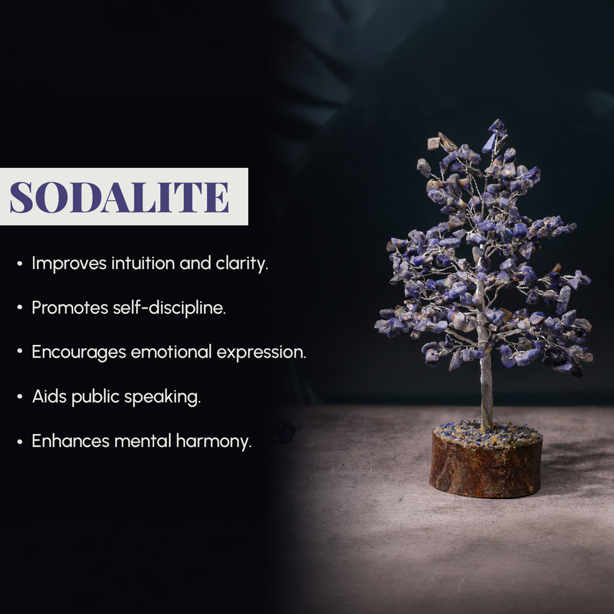 Sodalite Crystal Tree – Large, for Vastu – view 6