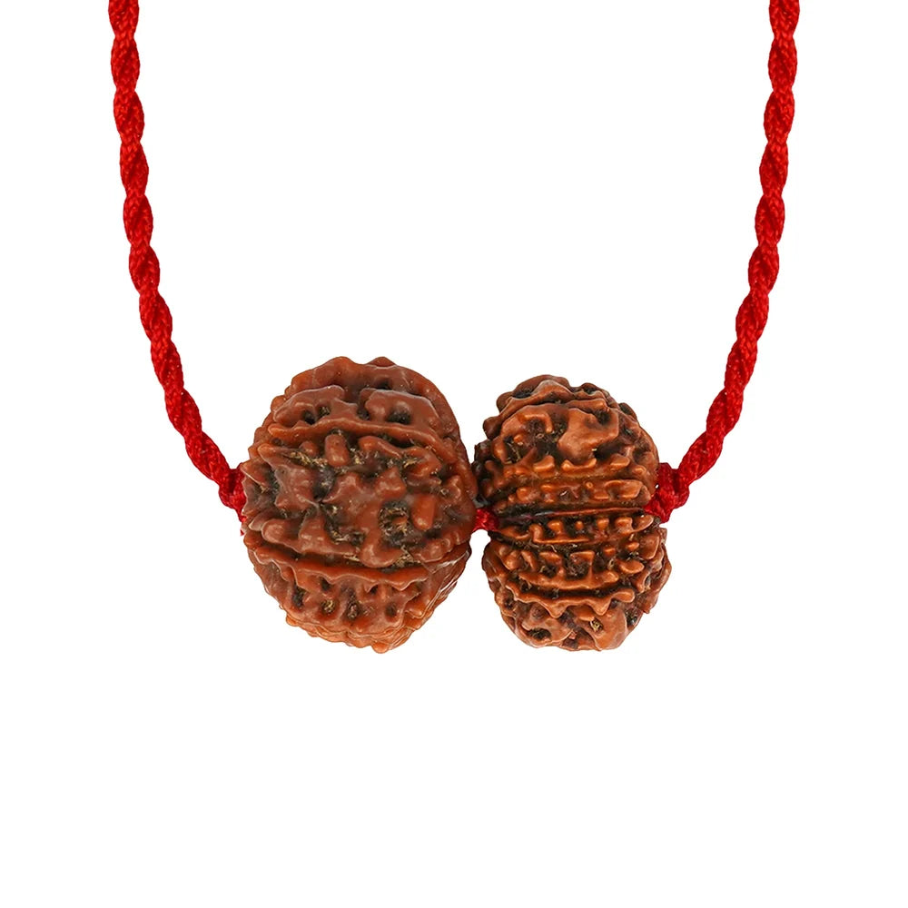 Surya-Ketu Grahan Dosh Kavach – 9 & 12 Mukhi Rudraksha