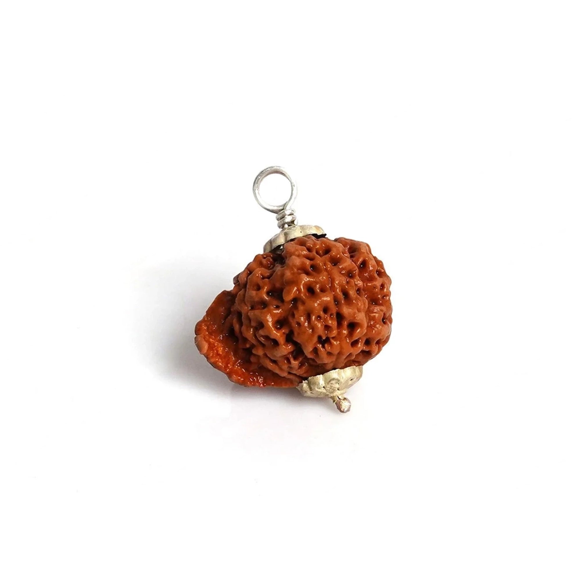 Ganesh Rudraksha – Original Natural Bead