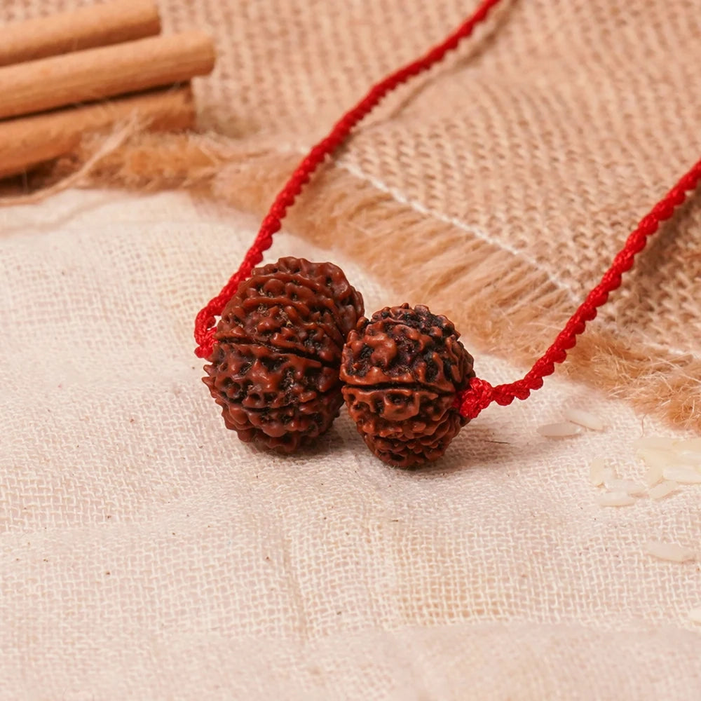 Surya-Ketu Grahan Dosh Kavach – 9 & 12 Mukhi Rudraksha