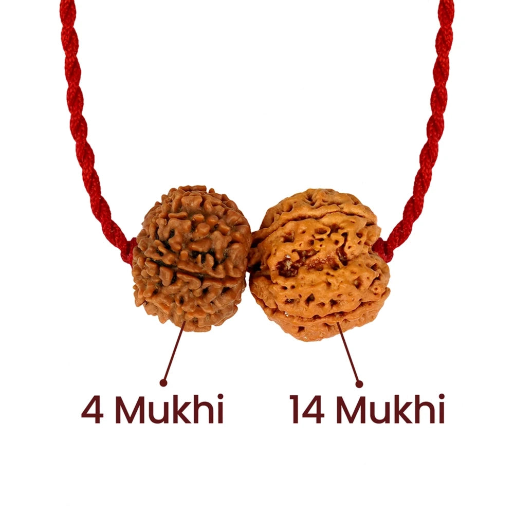Budh-Shani Gyaan Kavach – 4 & 14 Mukhi Rudraksha