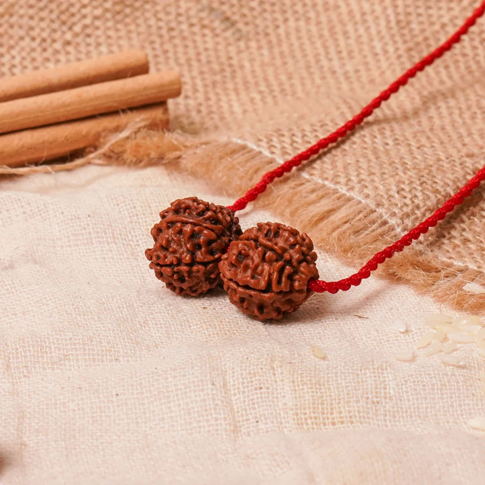 Shani-Rahu Kavach – 7 & 8 Mukhi Nepali Rudraksha