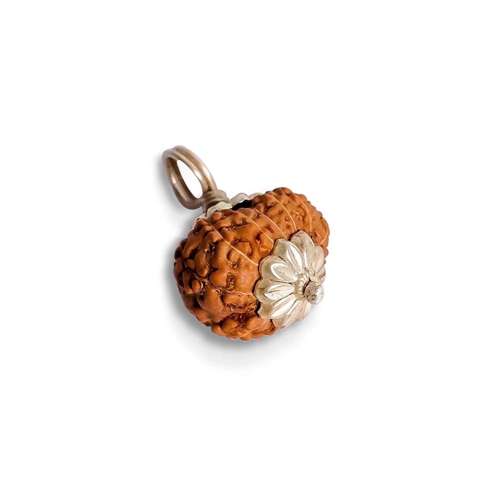 12 Mukhi Rudraksha – Original Indonesian Bead