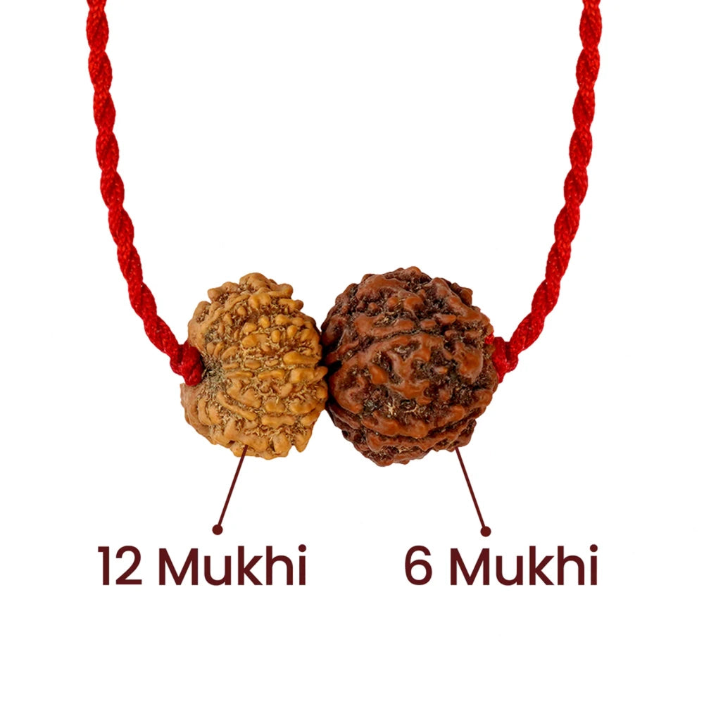 Shukra-Surya Prem Kavach – 6 & 12 Mukhi Rudraksha