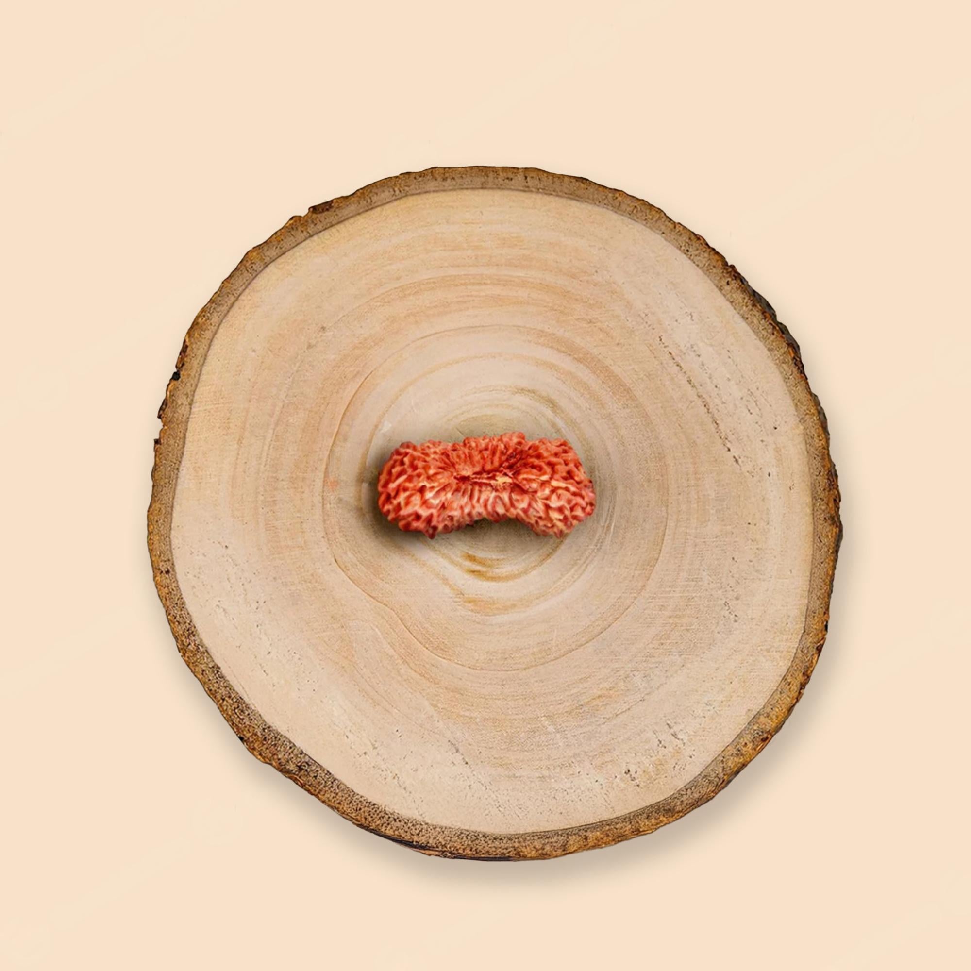 Natural 27 Mukhi Rudraksha – Original Indonesian Bead