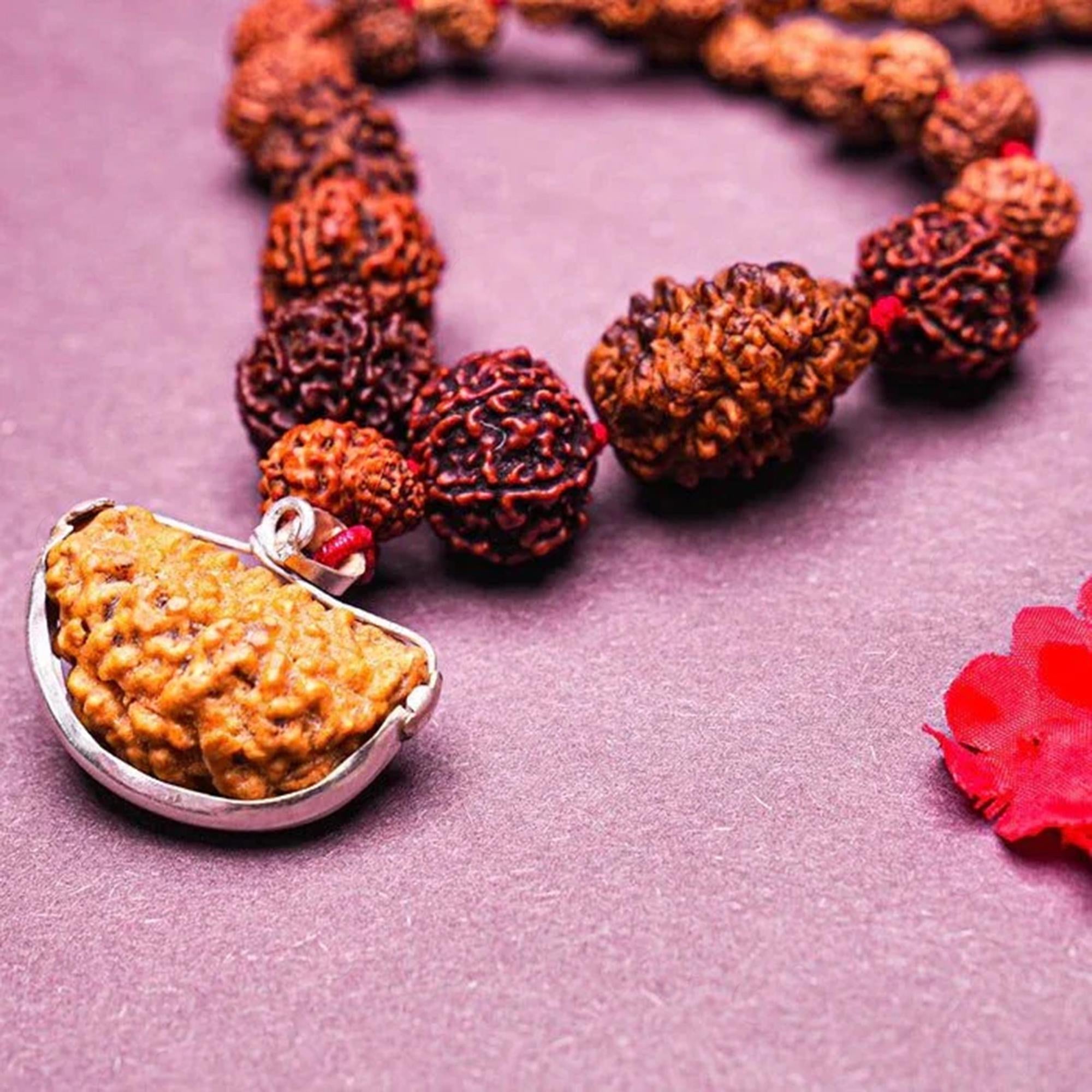 Siddha Mala – 1–14 Mukhi Nepali Rudraksha + 1 Mukhi (Sawar)