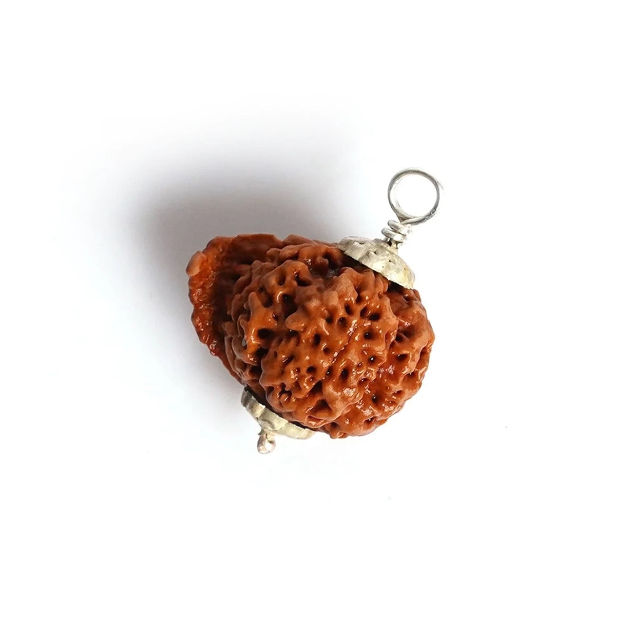 Ganesh Rudraksha – Original Natural Bead