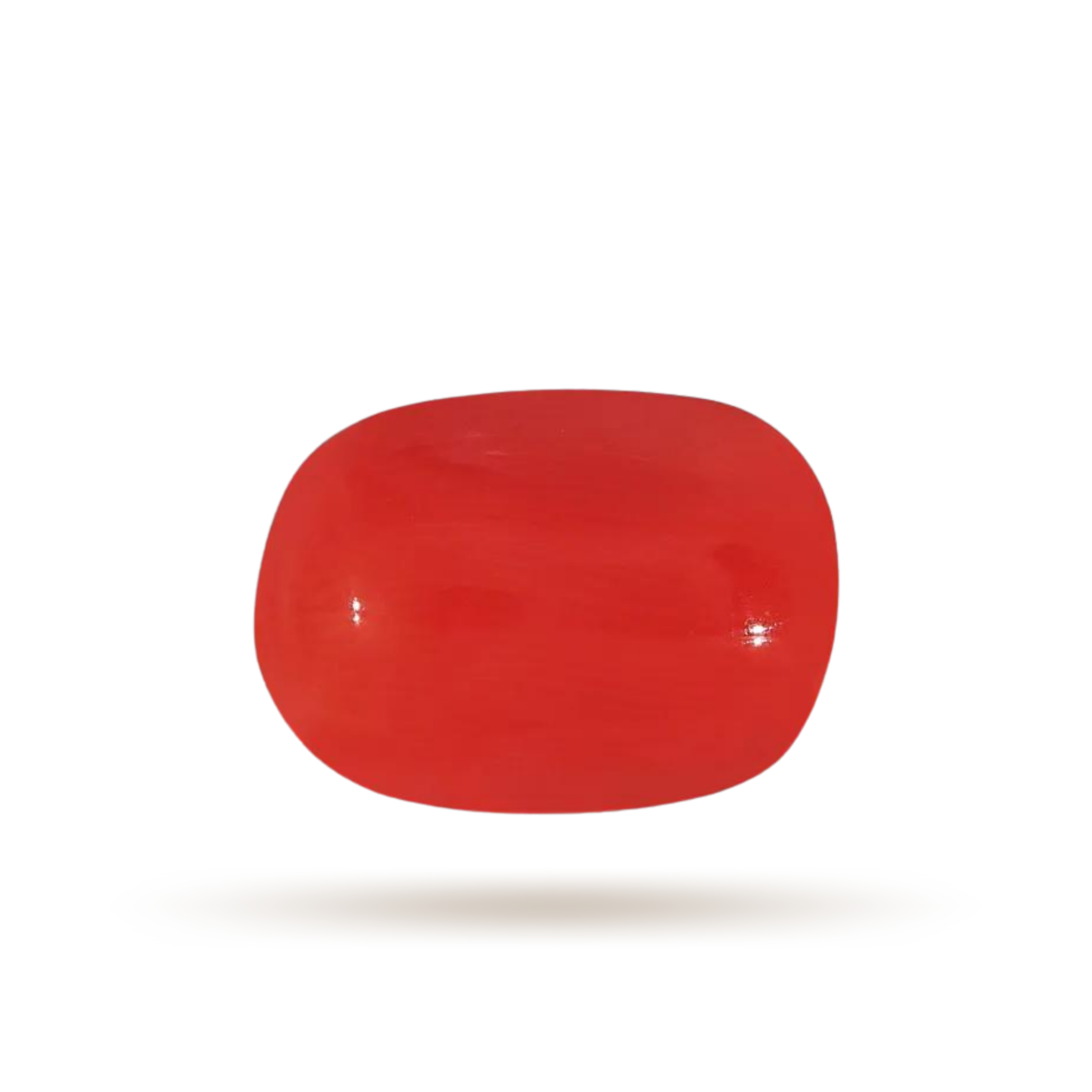 Moonga-Red Coral stone (12 Ratti)-Gemsmantra-best-online-gems-shop-in-india